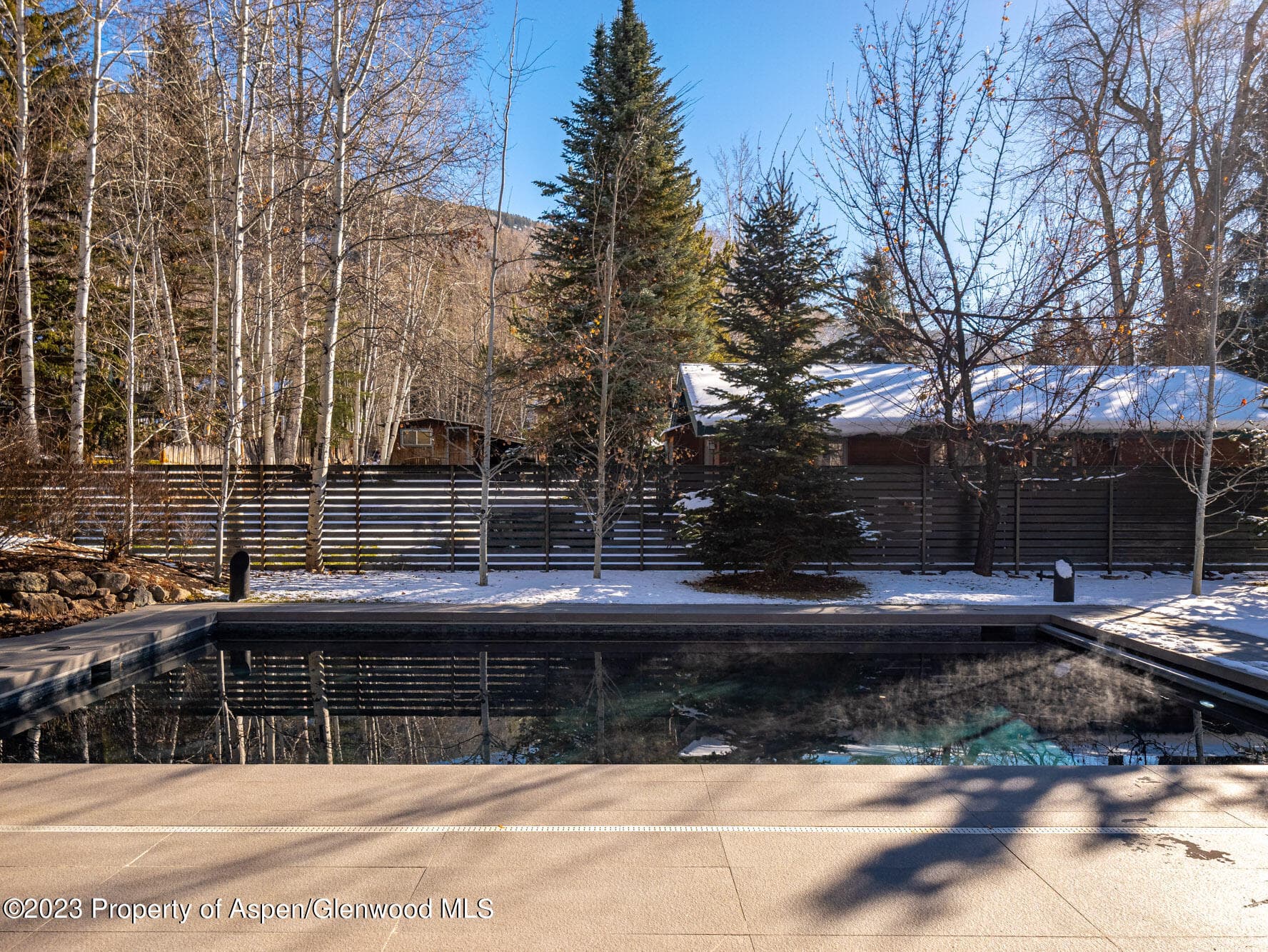 936 King Street, Aspen, CO 81611 - Photo 10