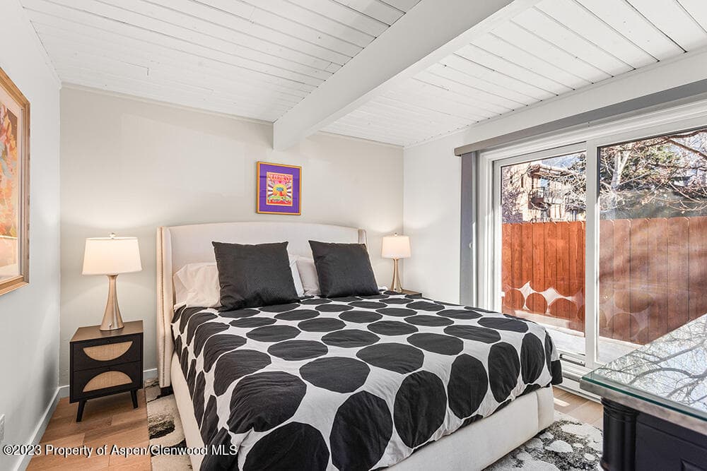630 E Cooper Avenue 4, Aspen, CO 81611 - Photo 9