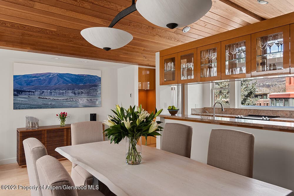 702 E Hyman Avenue, Aspen, CO 81611 - Photo 11