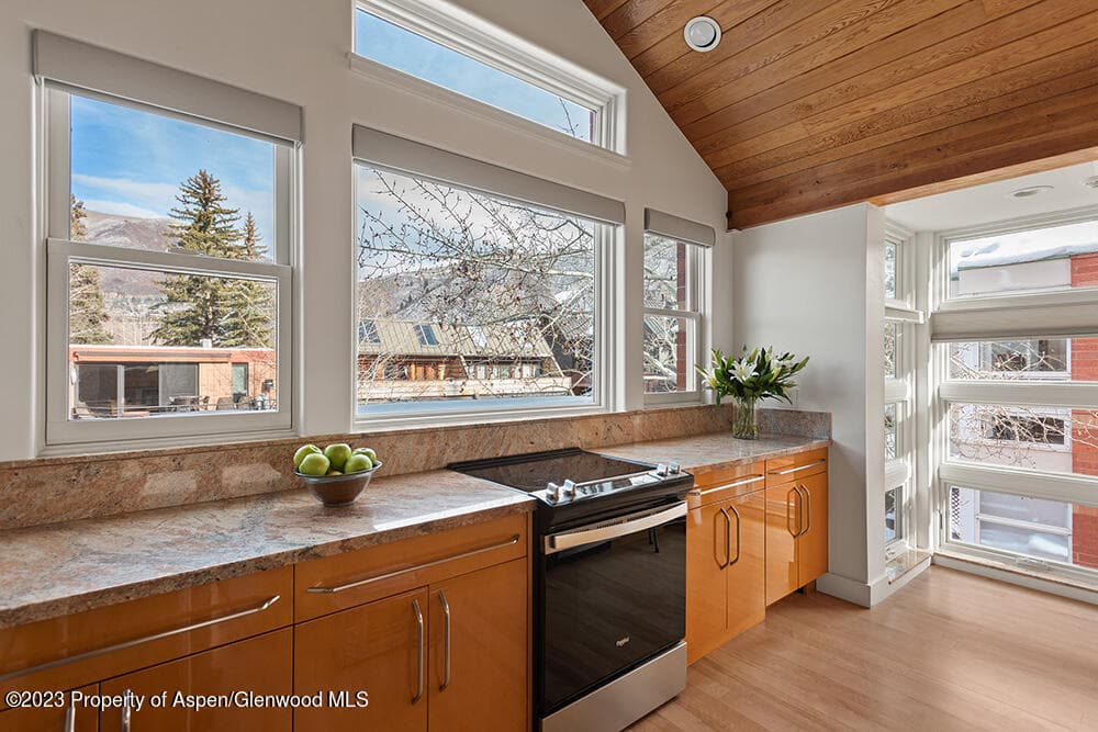 702 E Hyman Avenue, Aspen, CO 81611 - Photo 12