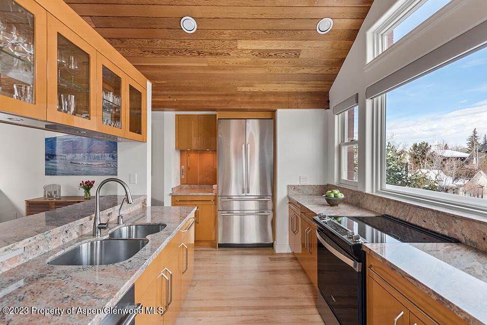 702 E Hyman Avenue, Aspen, CO 81611 - Photo 13