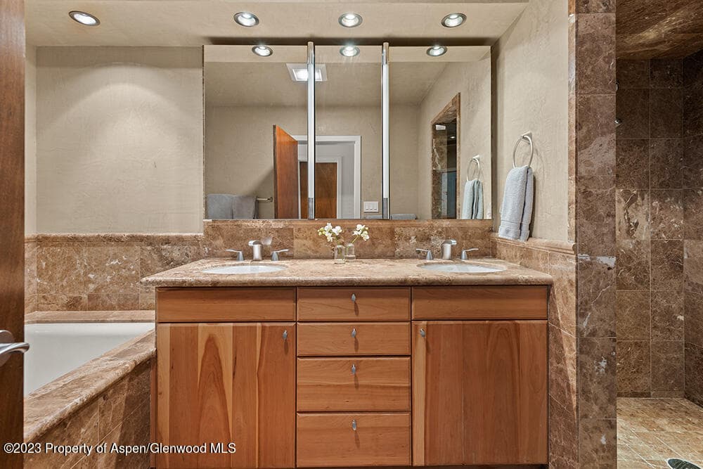 702 E Hyman Avenue, Aspen, CO 81611 - Photo 20