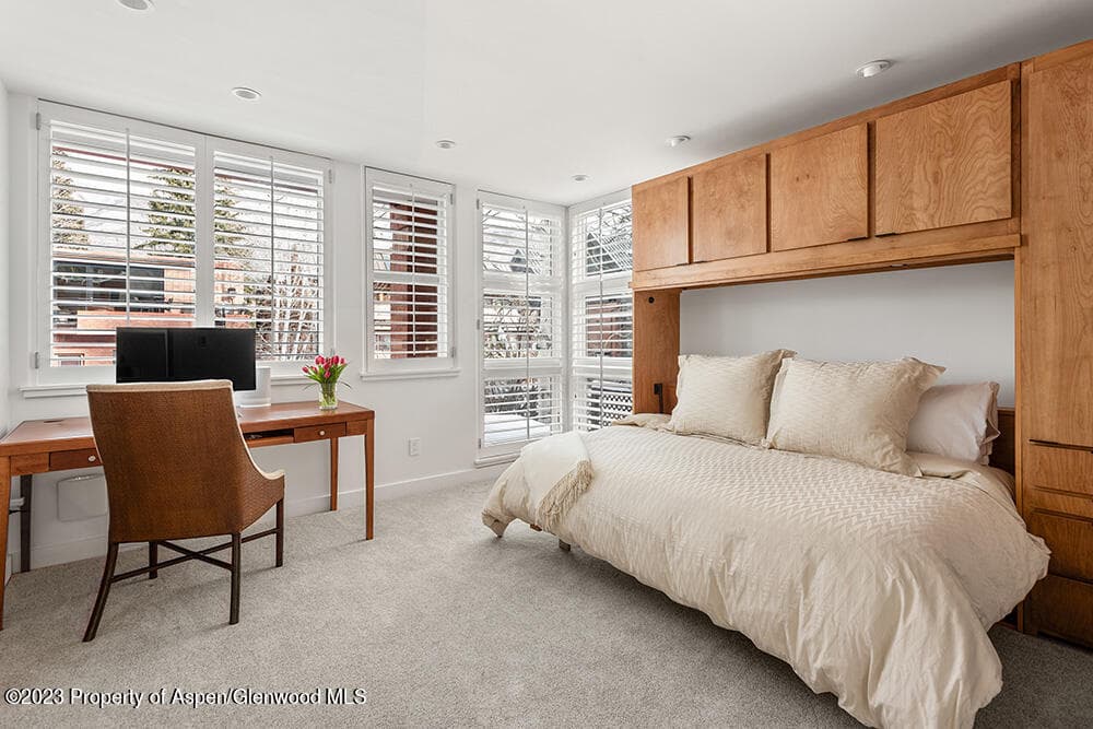 702 E Hyman Avenue, Aspen, CO 81611 - Photo 21