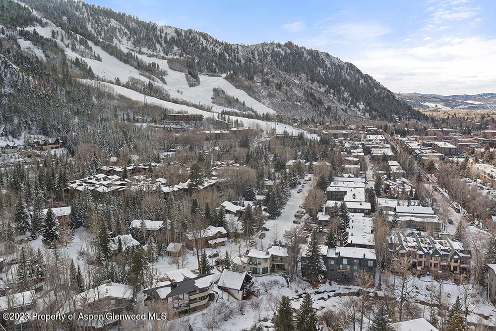 1096 Waters Avenue, Aspen, CO 81611 - Photo 28