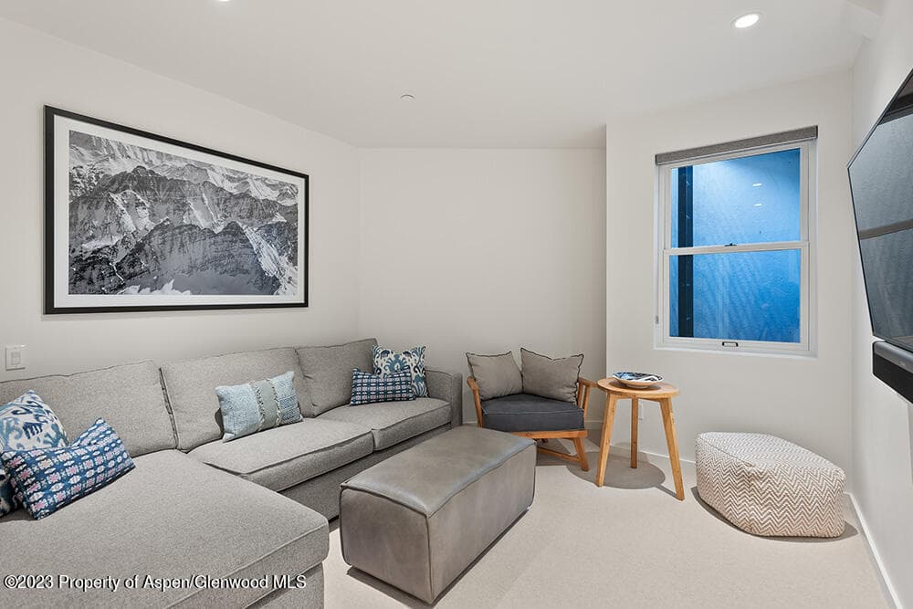 1096 Waters Avenue, Aspen, CO 81611 - Photo 22