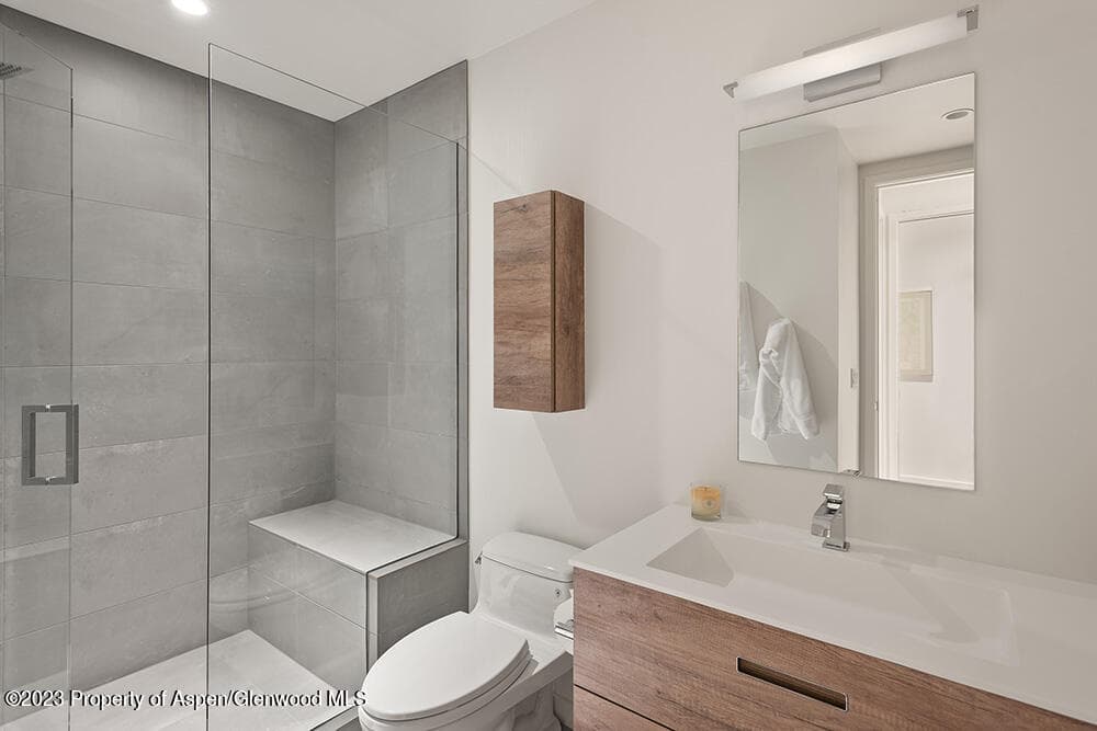 1096 Waters Avenue, Aspen, CO 81611 - Photo 23