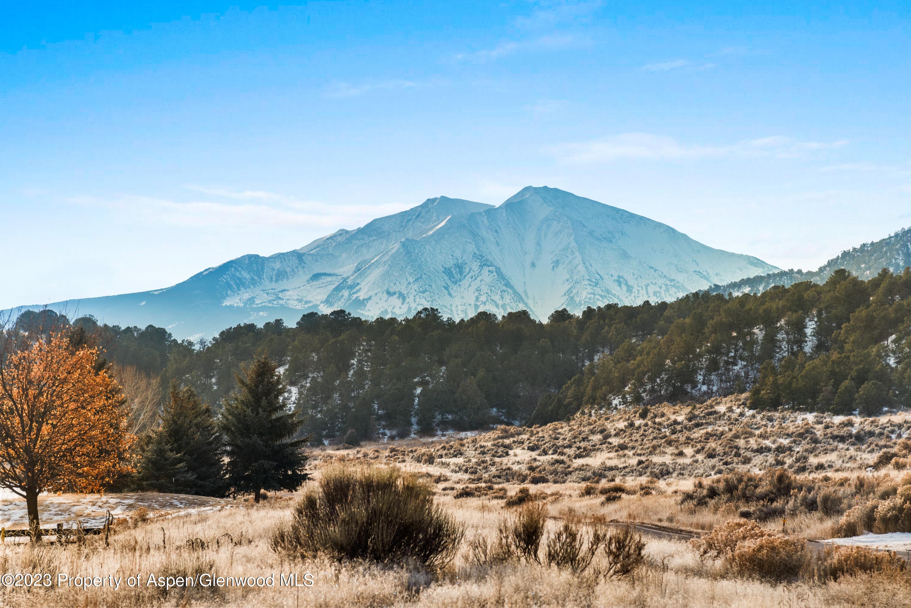 TBD Bald Eagle Way - Photo 7