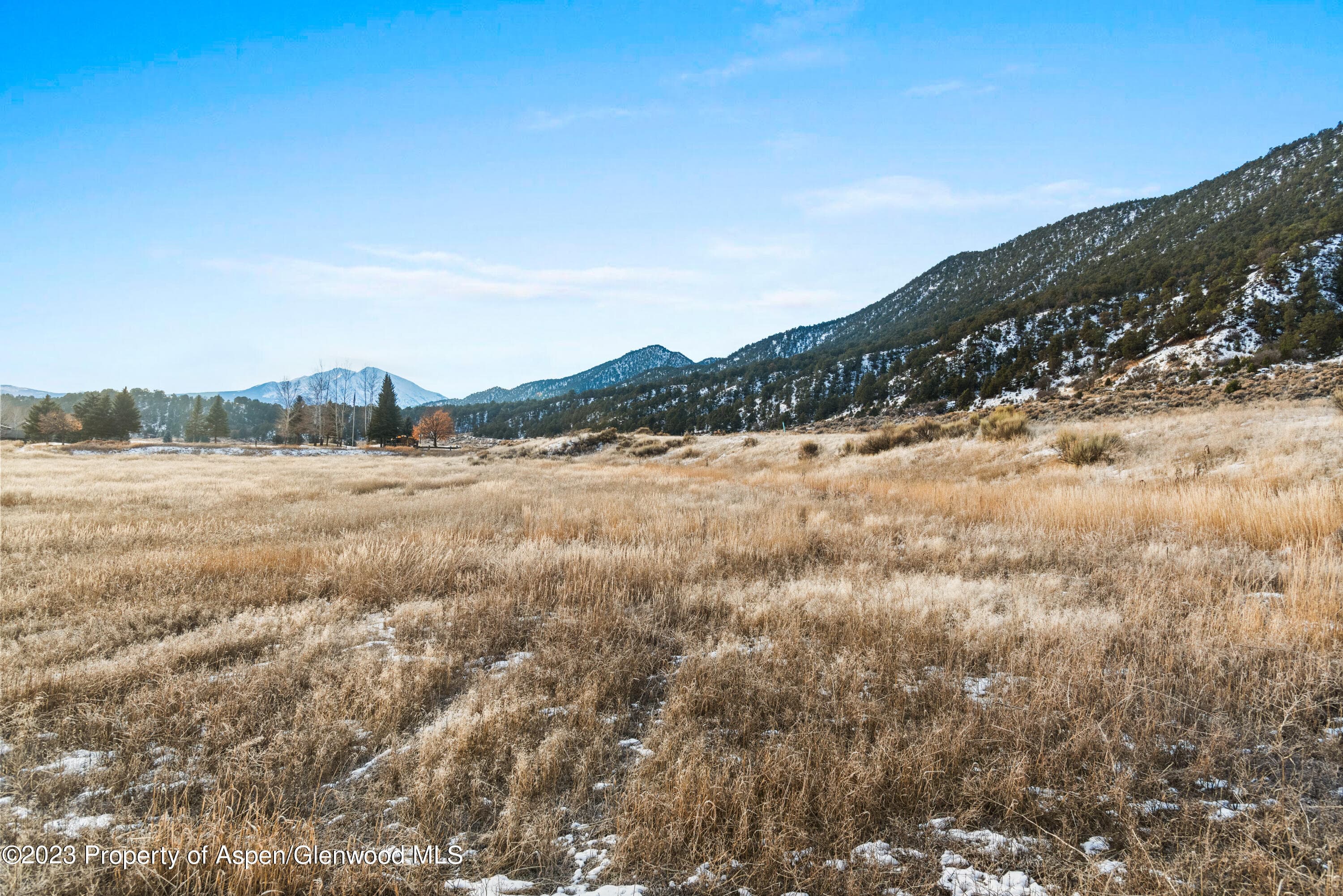TBD Bald Eagle Way - Photo 8