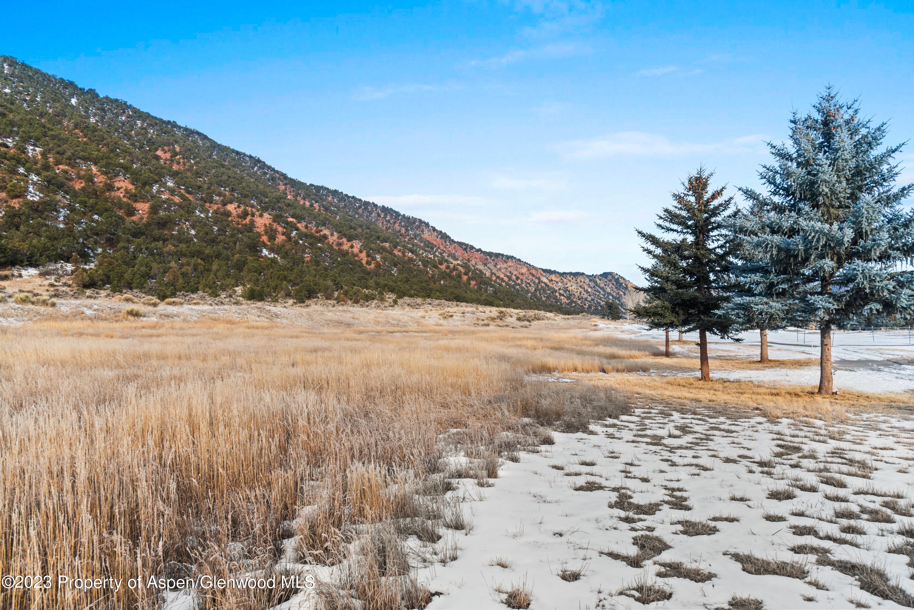 TBD Bald Eagle Way - Photo 9
