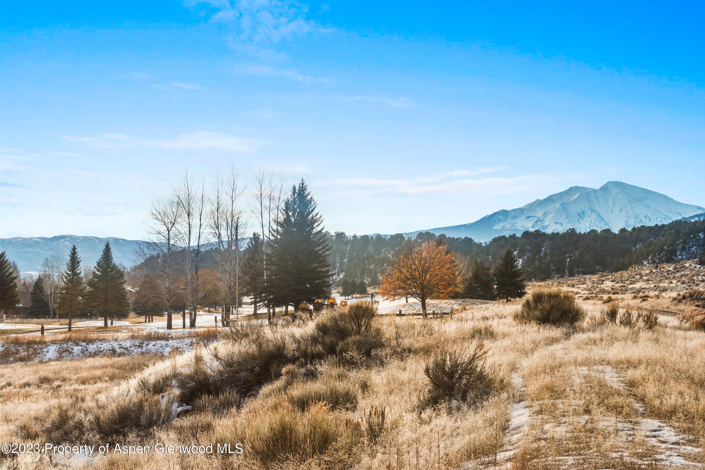 TBD Bald Eagle Way - Photo 11