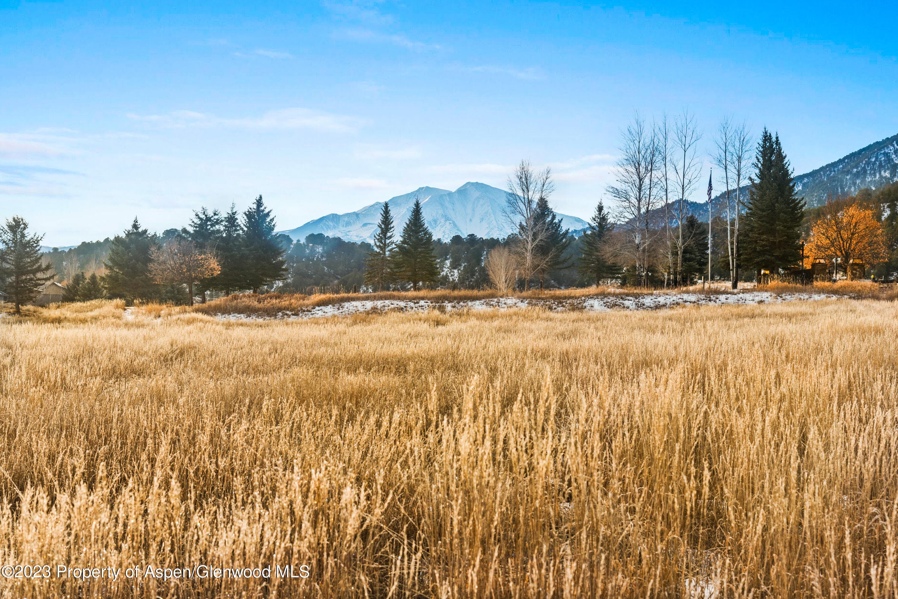 TBD Bald Eagle Way - Photo 2