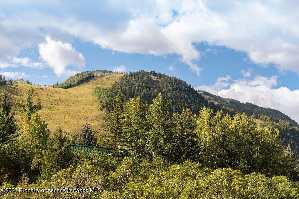 25 Glen Eagles Road, Aspen, CO 81611 - Photo 4