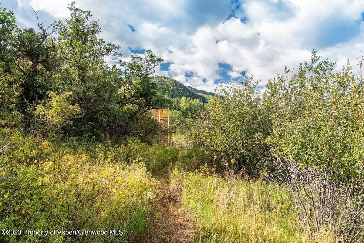 25 Glen Eagles Road, Aspen, CO 81611 - Photo 47