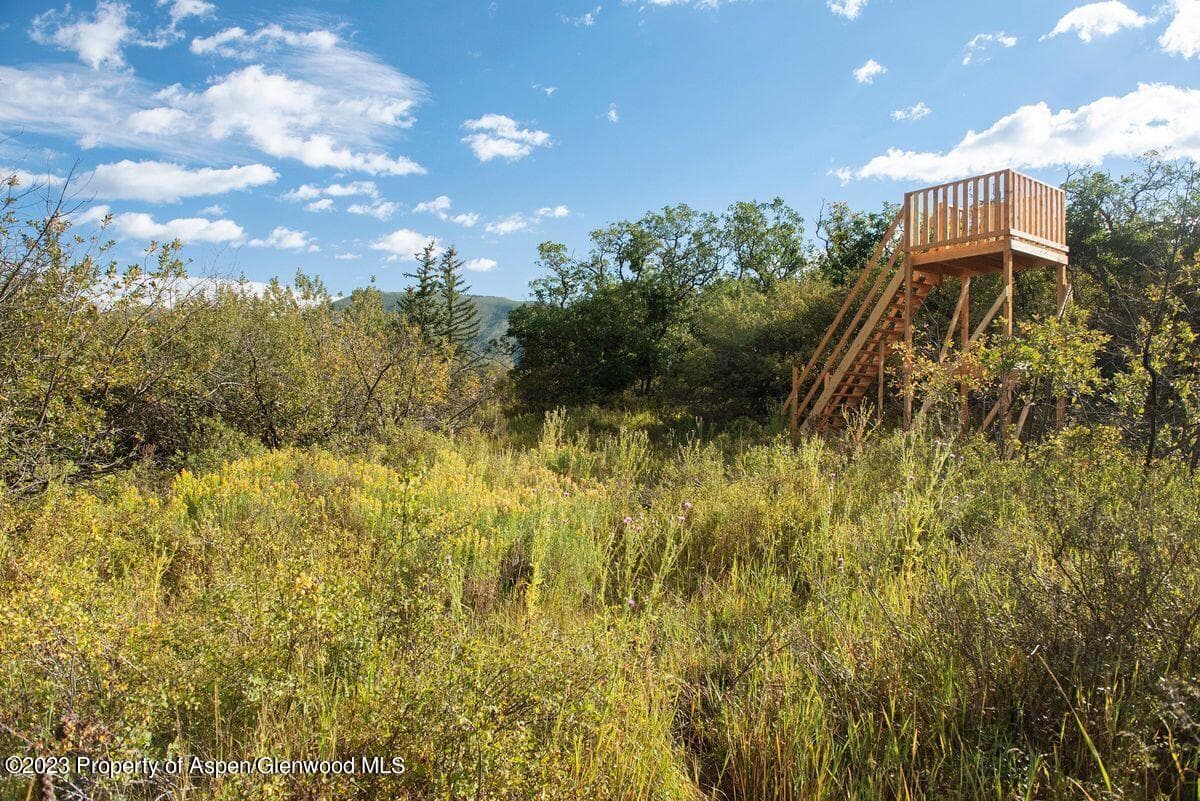 25 Glen Eagles Road, Aspen, CO 81611 - Photo 11