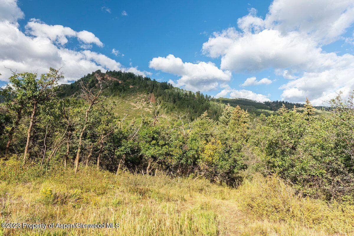 25 Glen Eagles Road, Aspen, CO 81611 - Photo 16