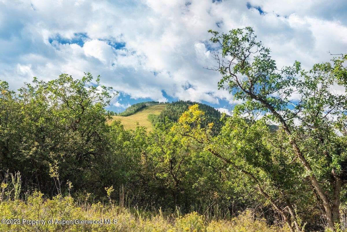 25 Glen Eagles Road, Aspen, CO 81611 - Photo 19
