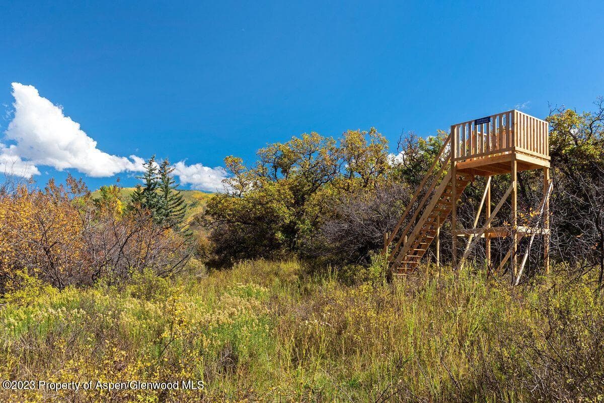 25 Glen Eagles Road, Aspen, CO 81611 - Photo 14