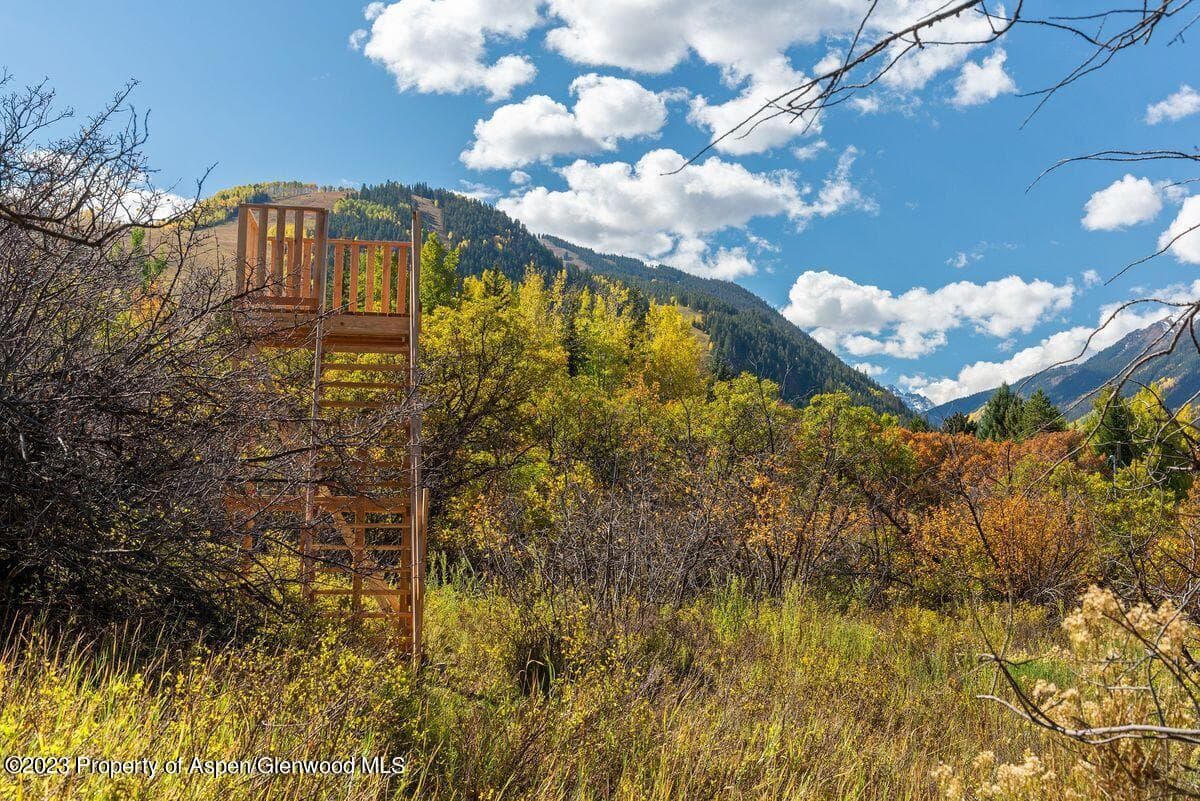25 Glen Eagles Road, Aspen, CO 81611 - Photo 20