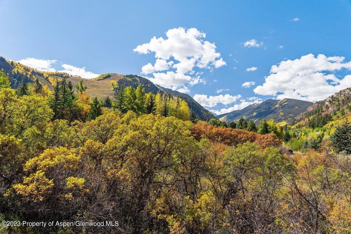 25 Glen Eagles Road, Aspen, CO 81611 - Photo 22