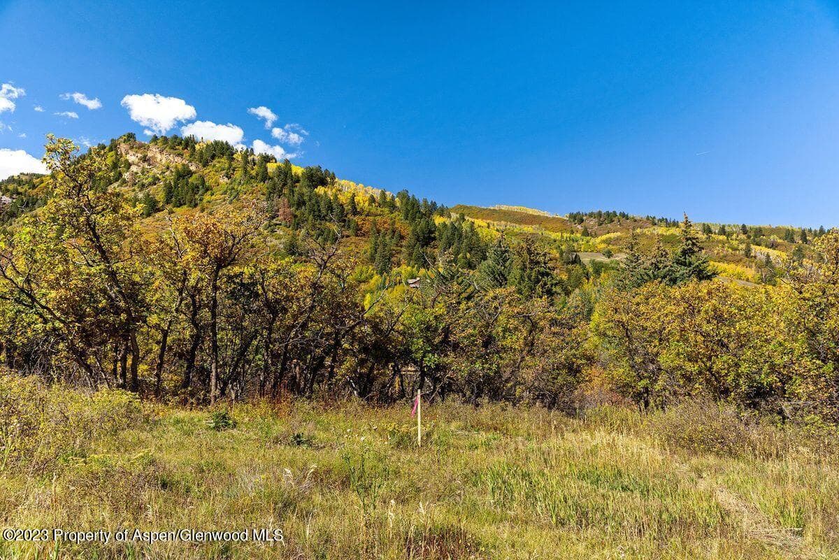 25 Glen Eagles Road, Aspen, CO 81611 - Photo 27