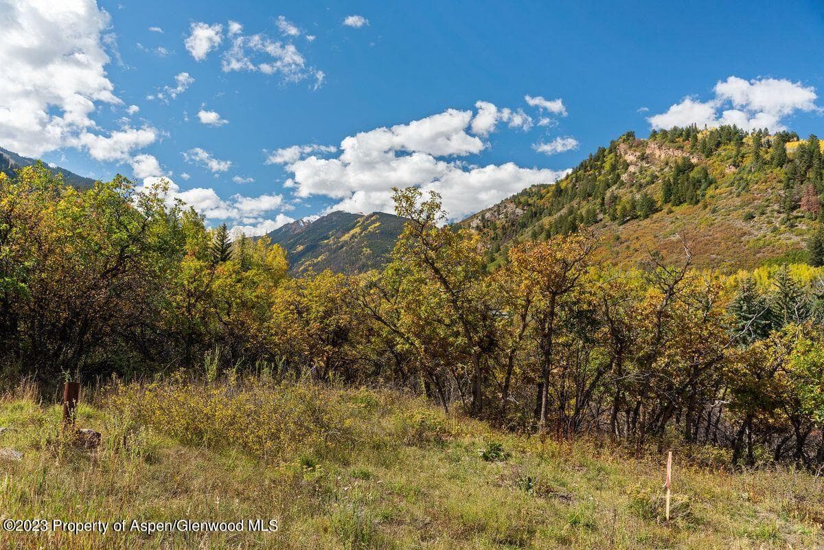 25 Glen Eagles Road, Aspen, CO 81611 - Photo 28