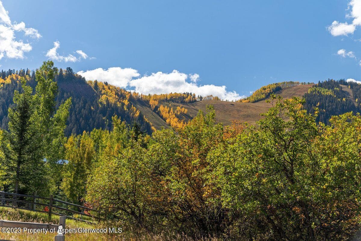 25 Glen Eagles Road, Aspen, CO 81611 - Photo 29