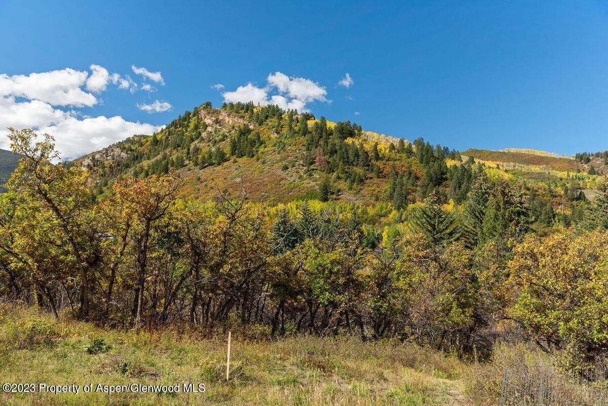 25 Glen Eagles Road, Aspen, CO 81611 - Photo 30