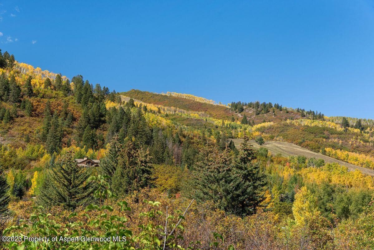 25 Glen Eagles Road, Aspen, CO 81611 - Photo 32