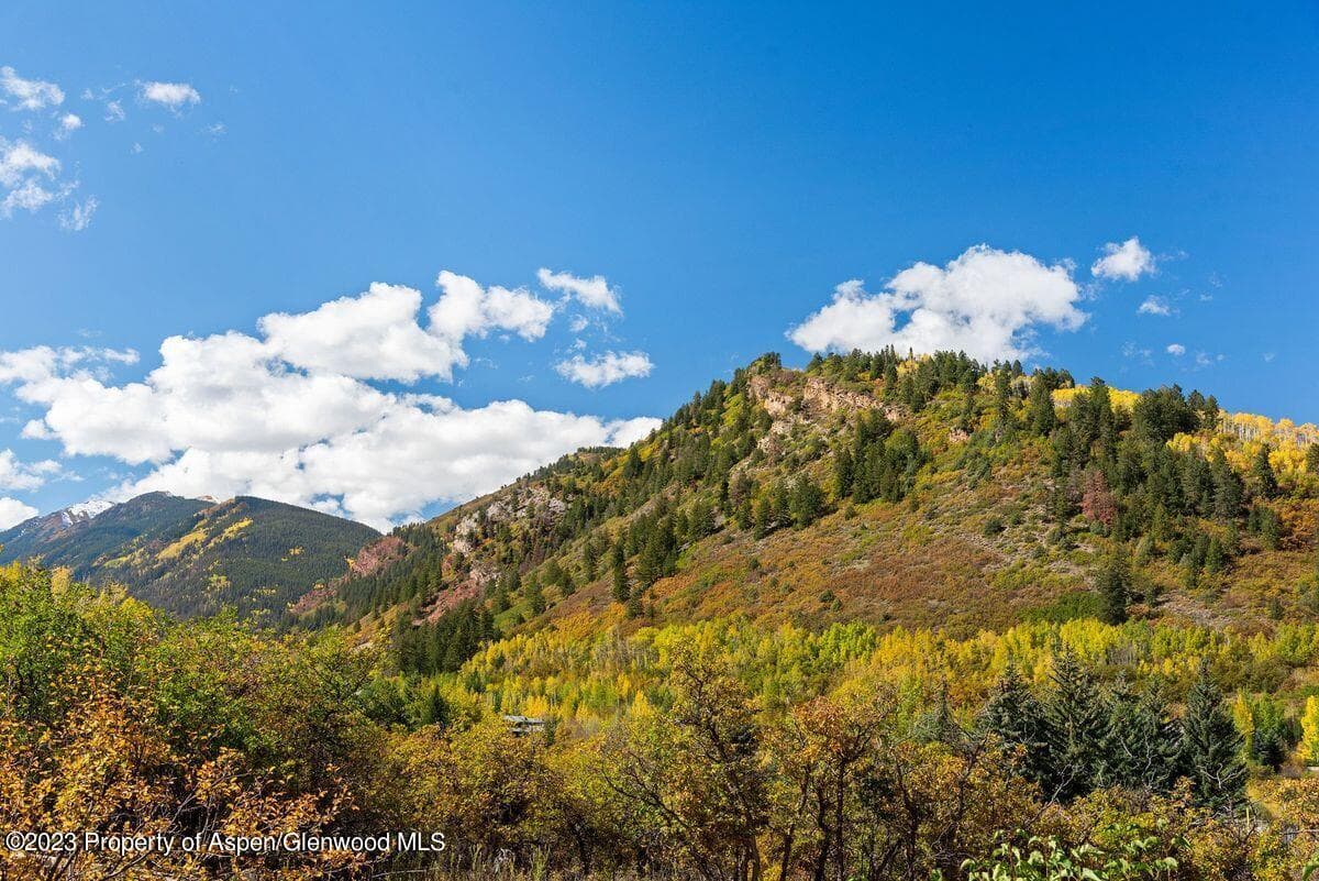 25 Glen Eagles Road, Aspen, CO 81611 - Photo 33