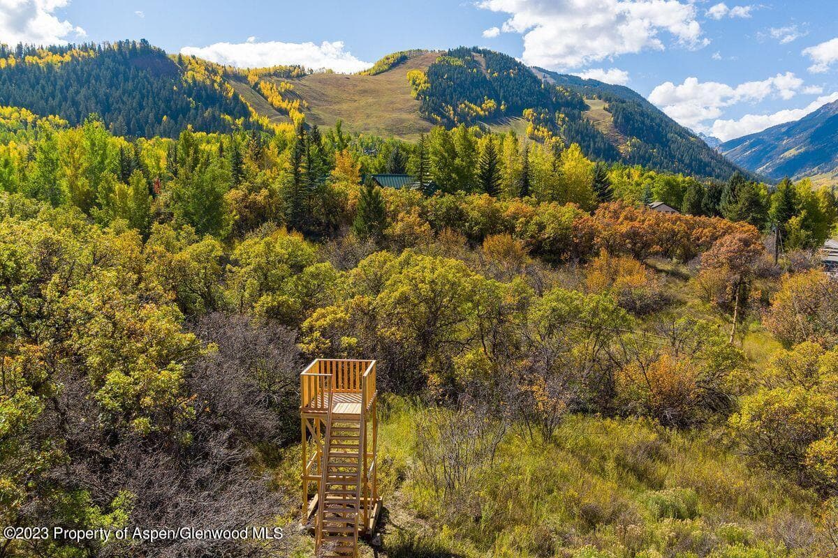 25 Glen Eagles Road, Aspen, CO 81611 - Photo 35