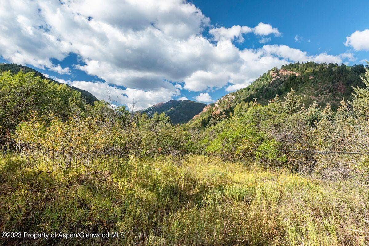 25 Glen Eagles Road, Aspen, CO 81611 - Photo 36