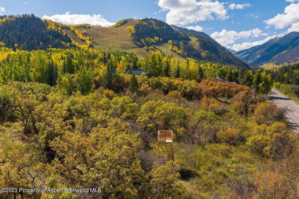 25 Glen Eagles Road, Aspen, CO 81611 - Photo 41