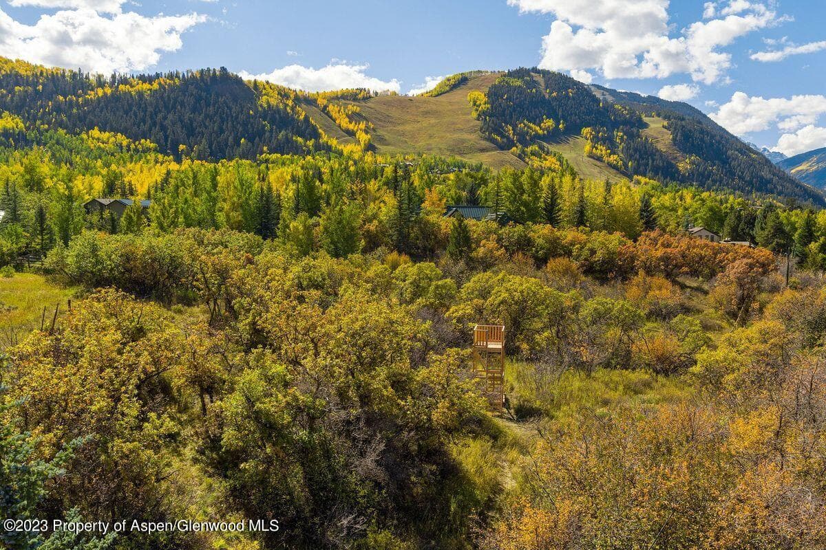 25 Glen Eagles Road, Aspen, CO 81611 - Photo 44