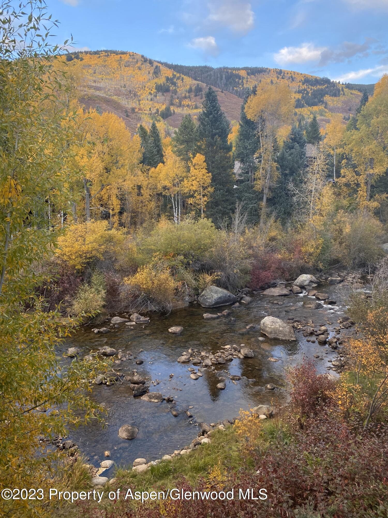 1096 Waters Avenue, Aspen, CO 81611 - Photo 29