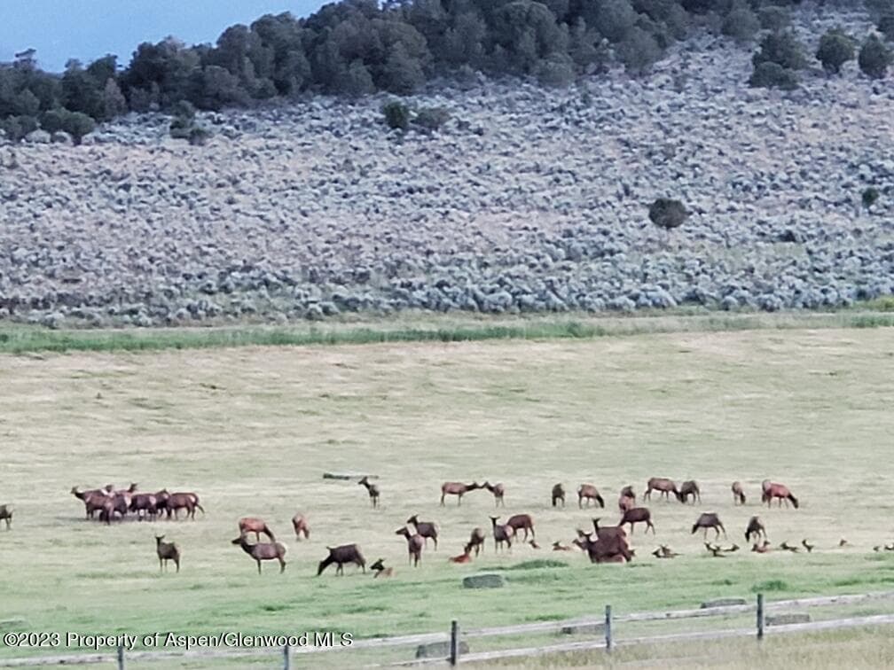 TBD County Road 100, Carbondale, CO 81623 - Photo 9