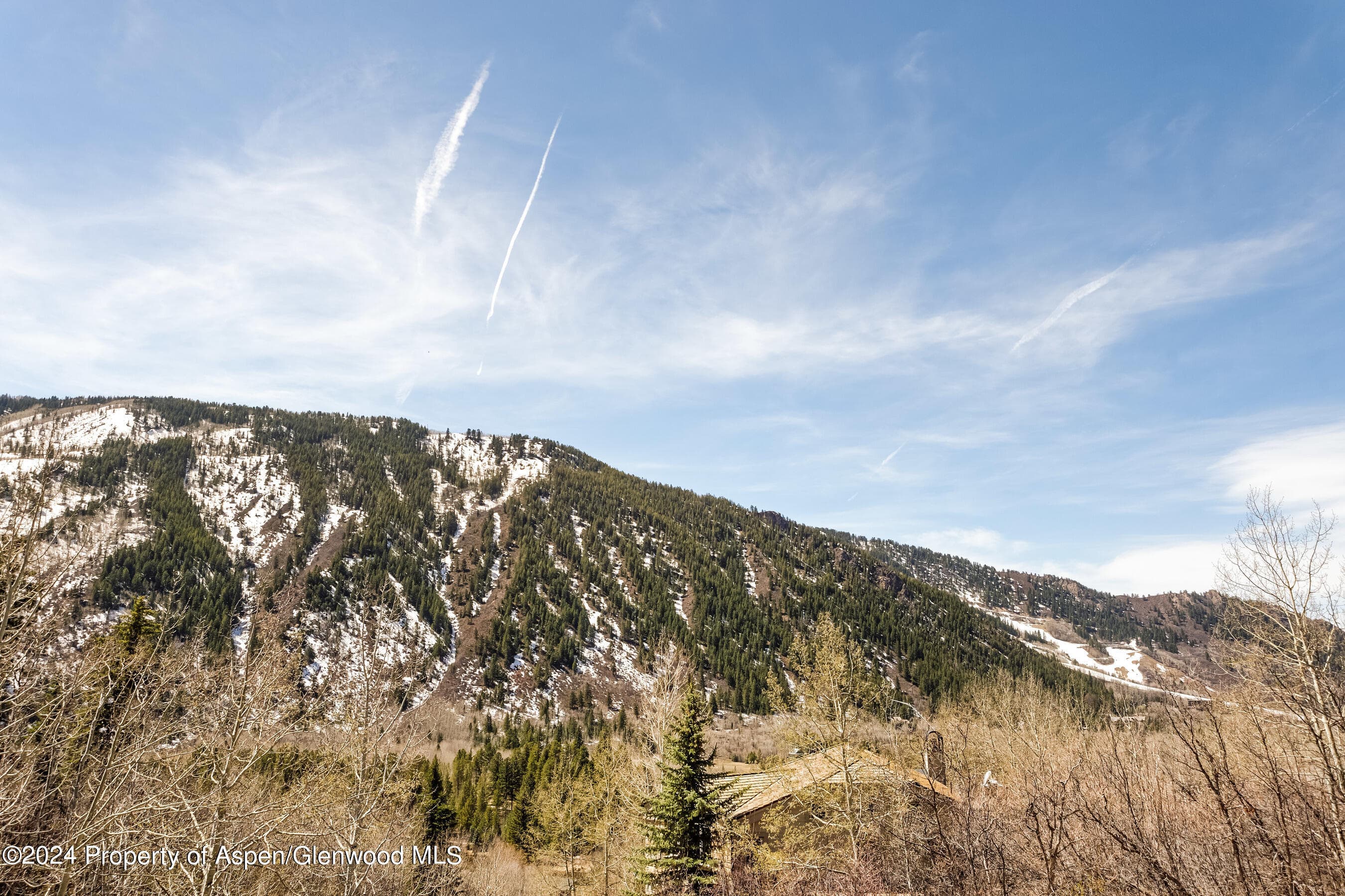 184 MOUNTAIN LAUREL Drive, Aspen, CO 81611 - Photo 2