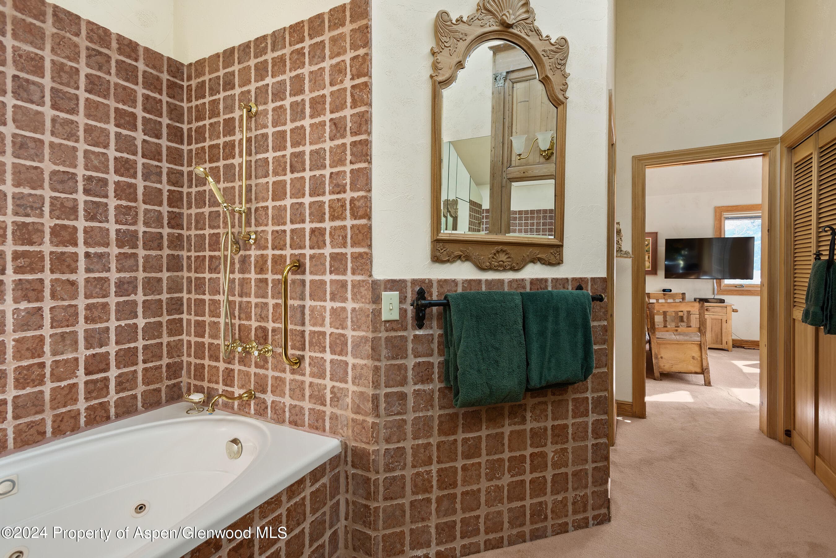 184 MOUNTAIN LAUREL Drive, Aspen, CO 81611 - Photo 12