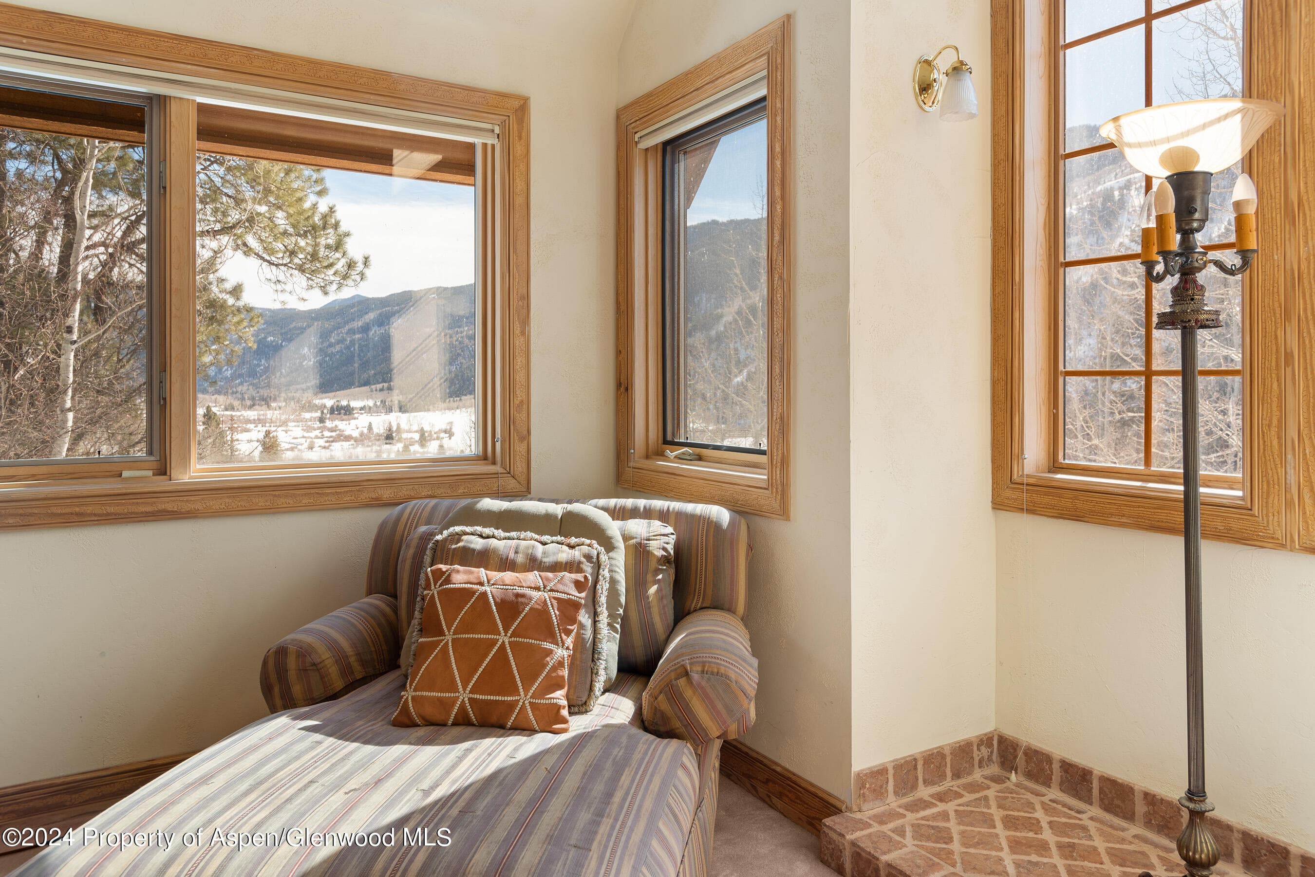 184 MOUNTAIN LAUREL Drive, Aspen, CO 81611 - Photo 11