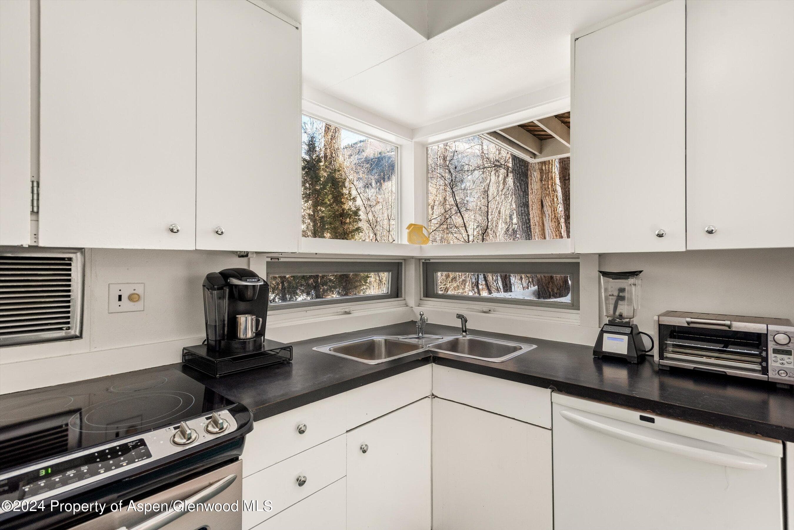 1020 E Hyman Units 1 & 2, Aspen, CO 81611 - Photo 29