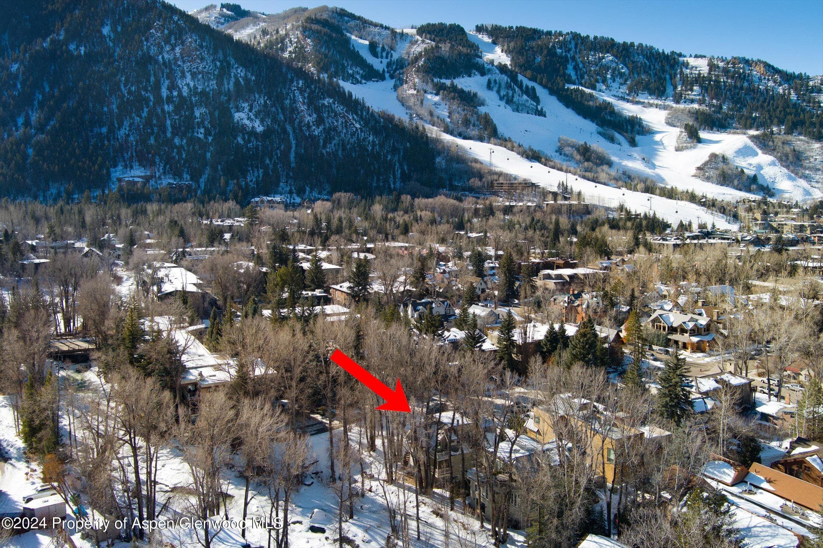 1020 E Hyman Units 1 & 2, Aspen, CO 81611 - Photo 51