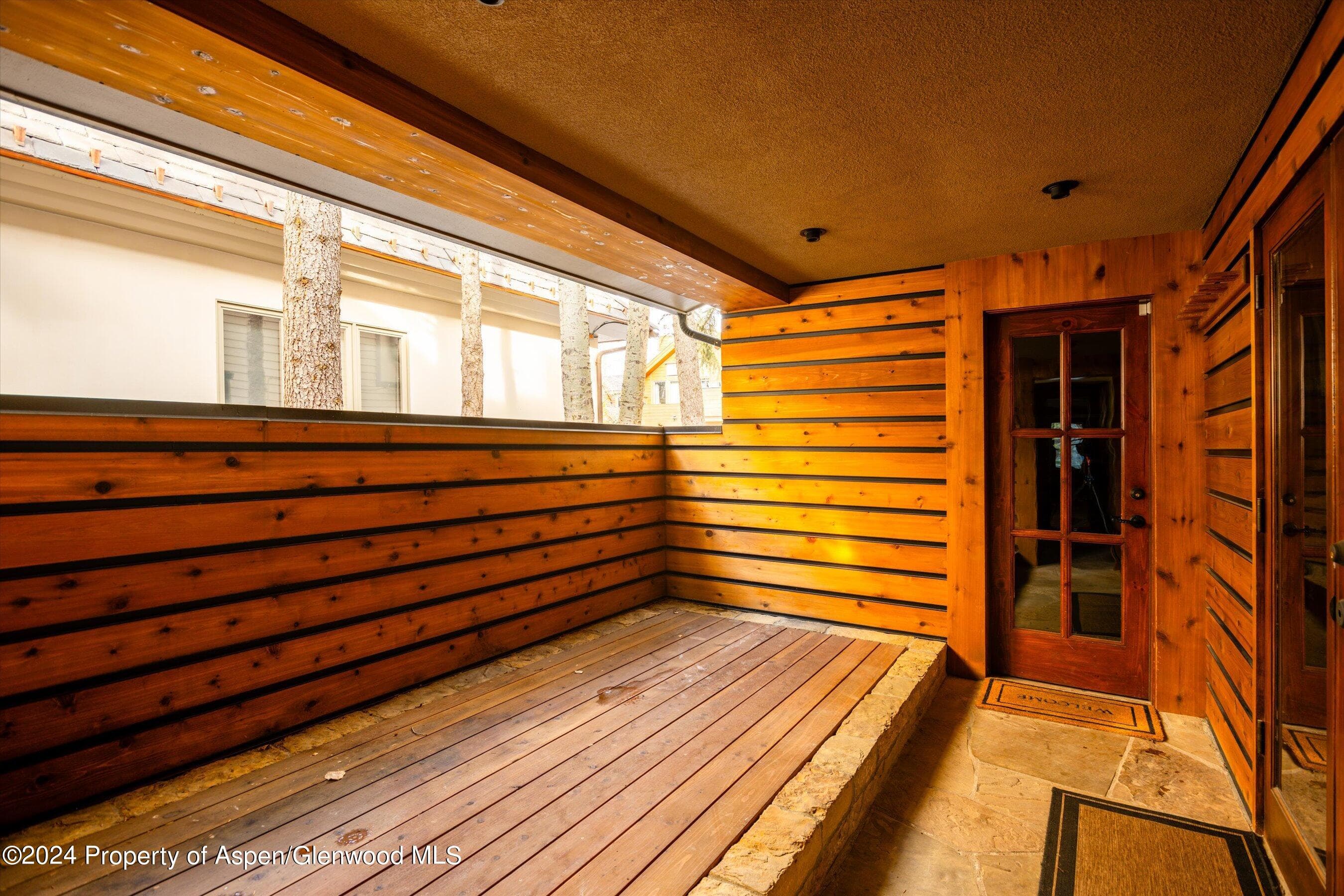 1016 E Hyman Avenue 2, Aspen, CO 81611 - Photo 26