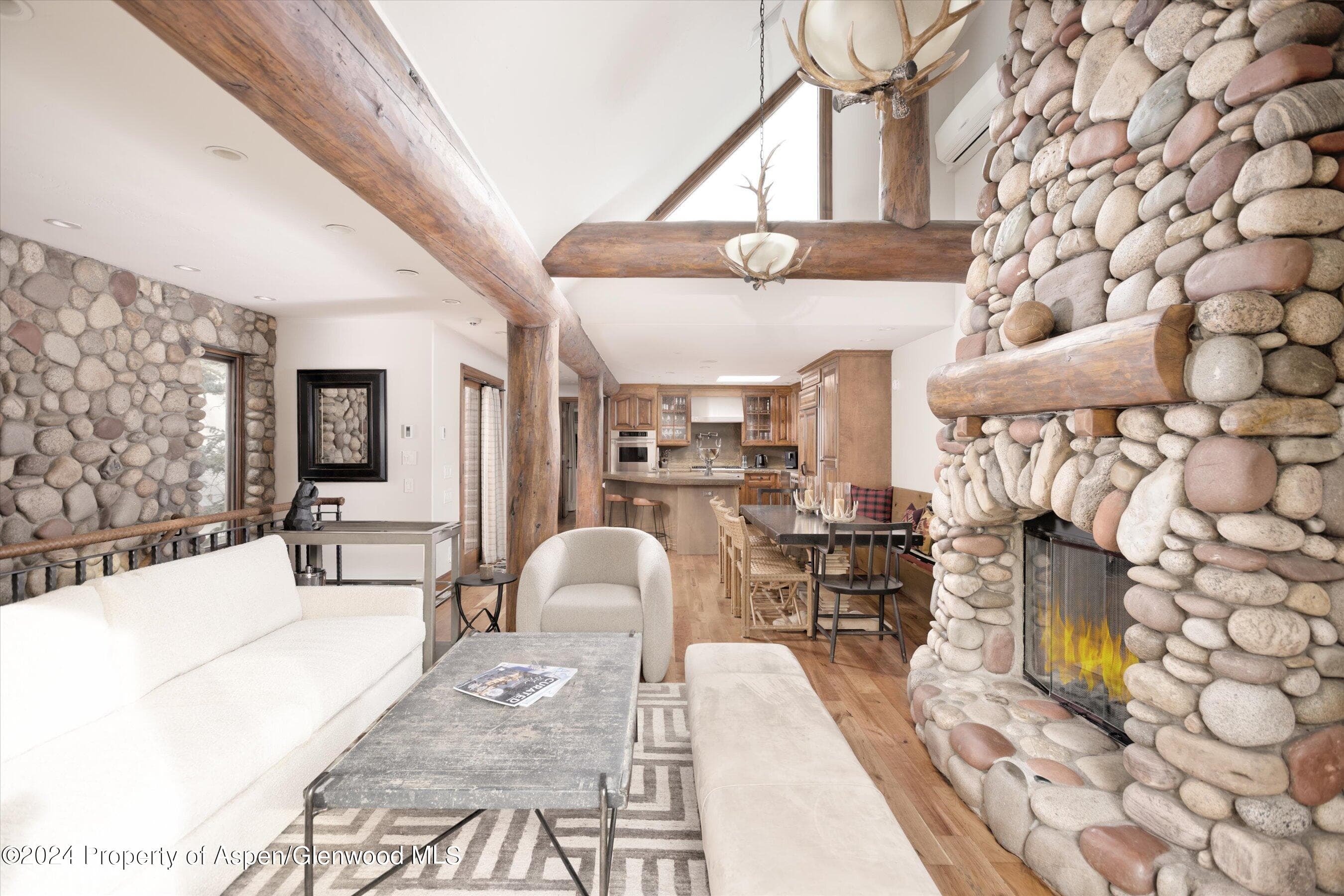 1016 E Hyman Avenue 2, Aspen, CO 81611 - Photo 13