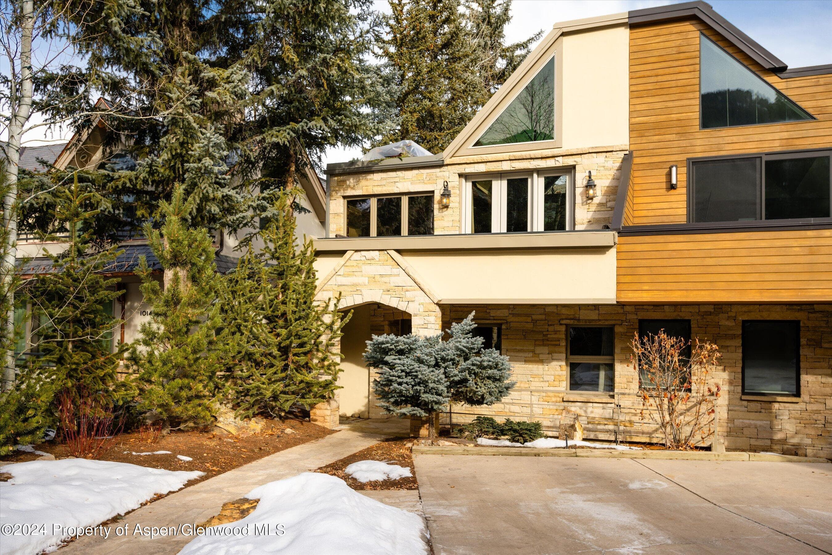 1016 E Hyman Avenue 2, Aspen, CO 81611 - Photo 30