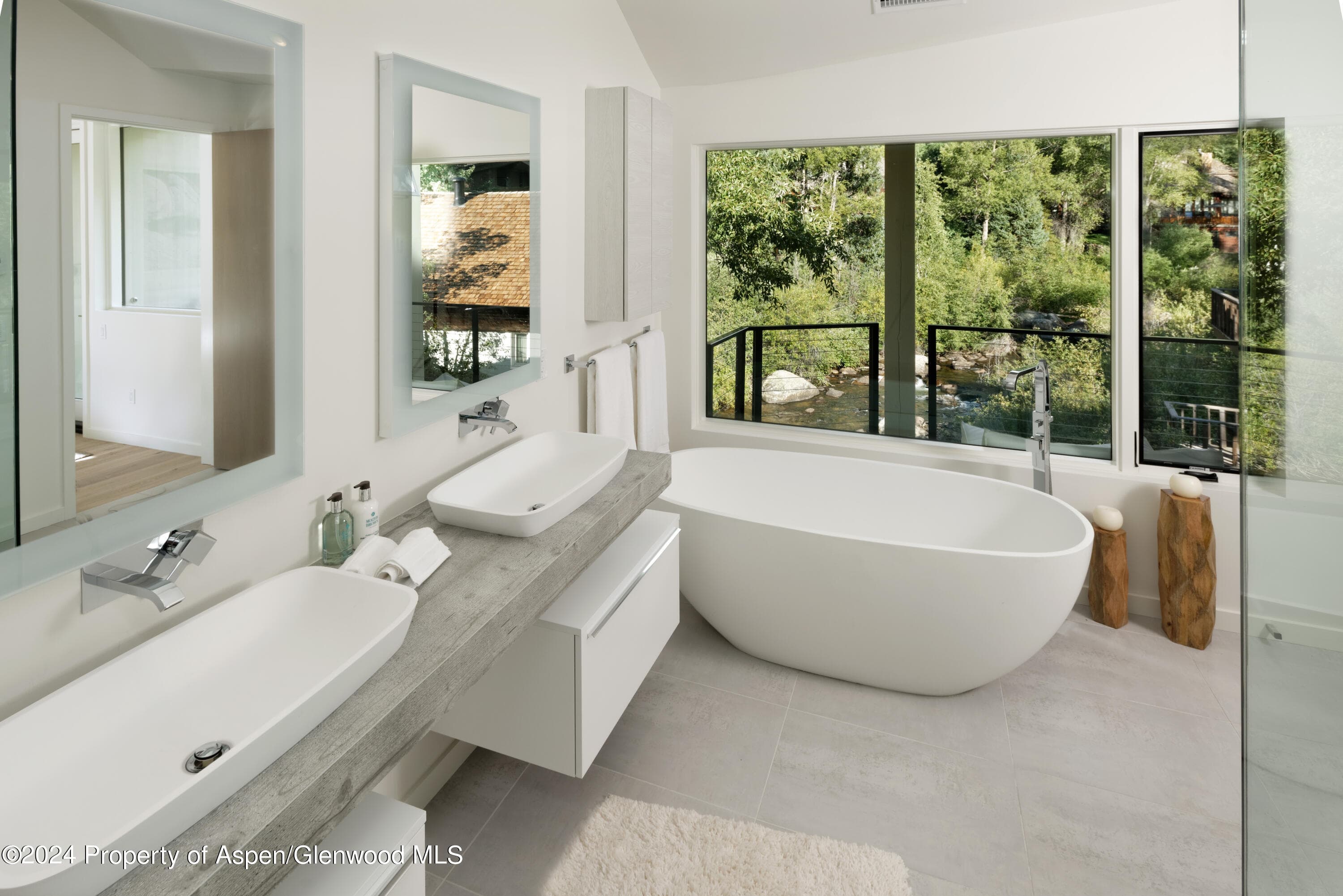 1096 Waters Avenue, Aspen, CO 81611 - Photo 19
