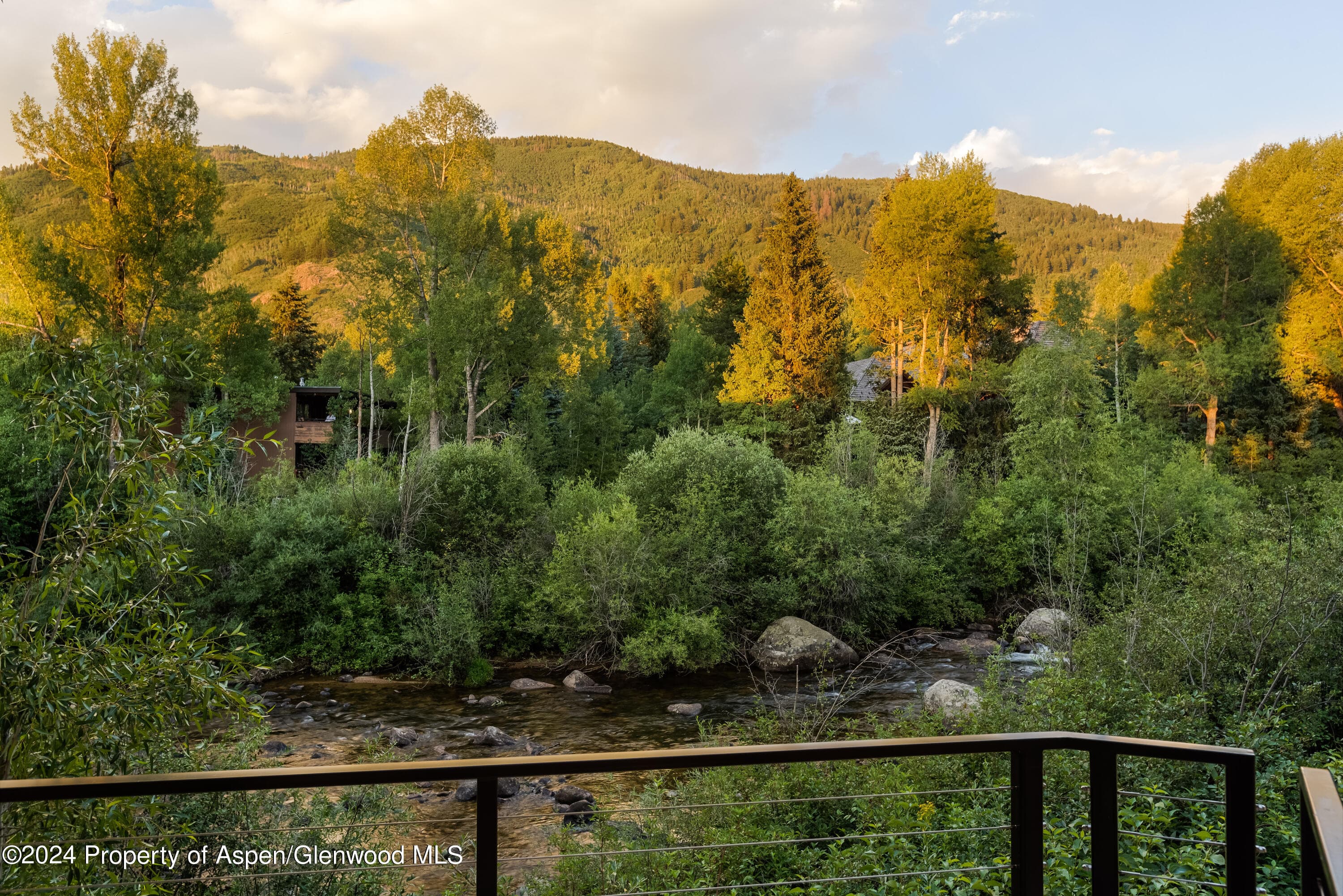 1096 Waters Avenue, Aspen, CO 81611 - Photo 16