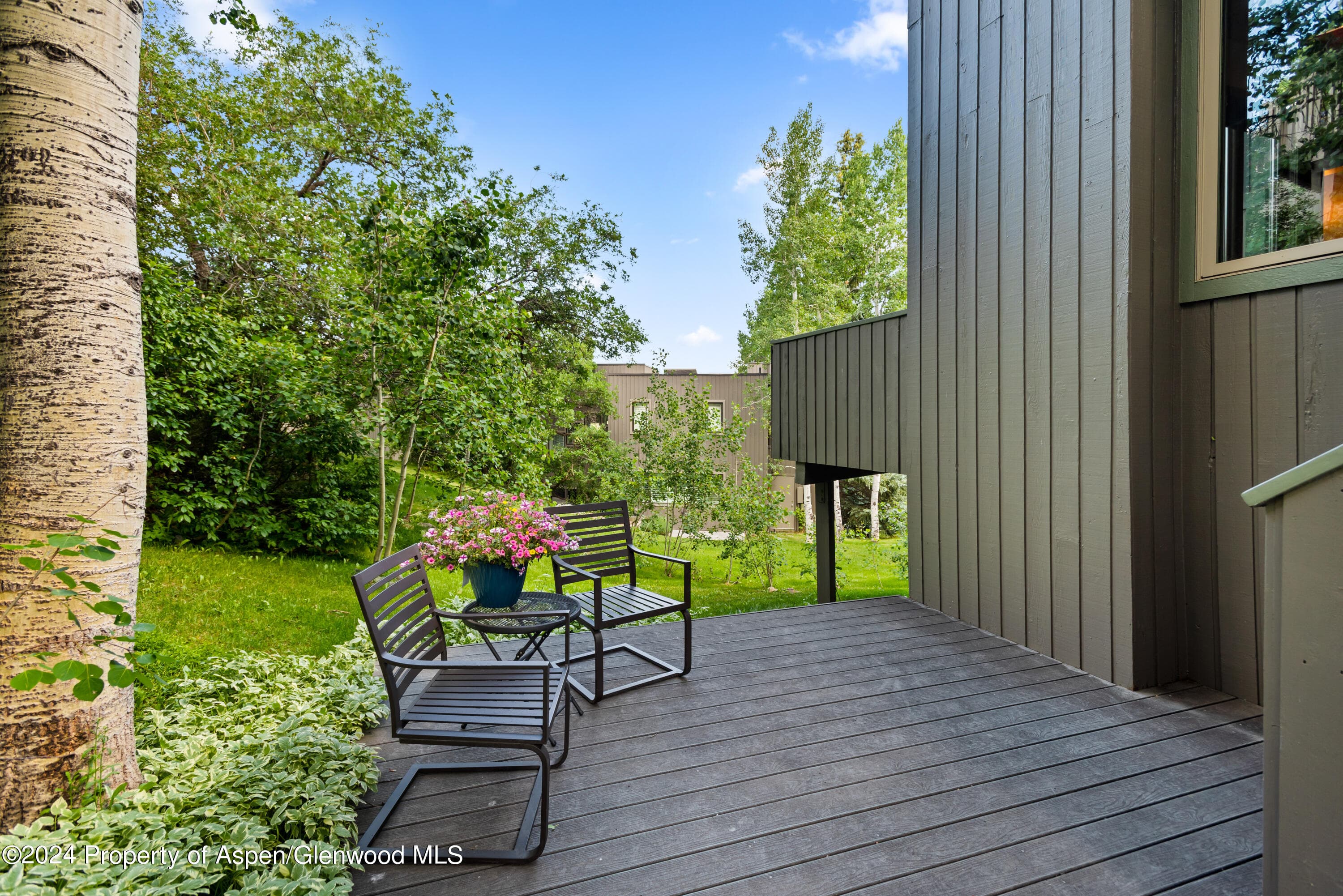 151 Meadow Ranch Road F-1-A, Snowmass Village, CO 81615 - Photo 18