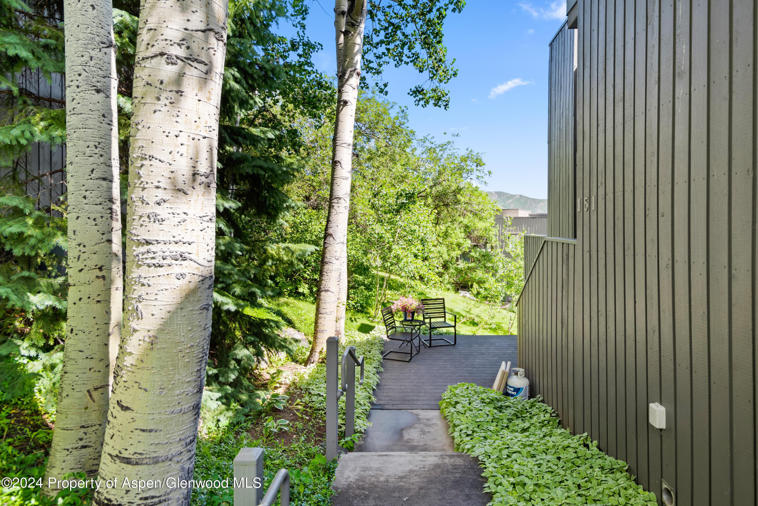 151 Meadow Ranch Road F-1-A, Snowmass Village, CO 81615 - Photo 19