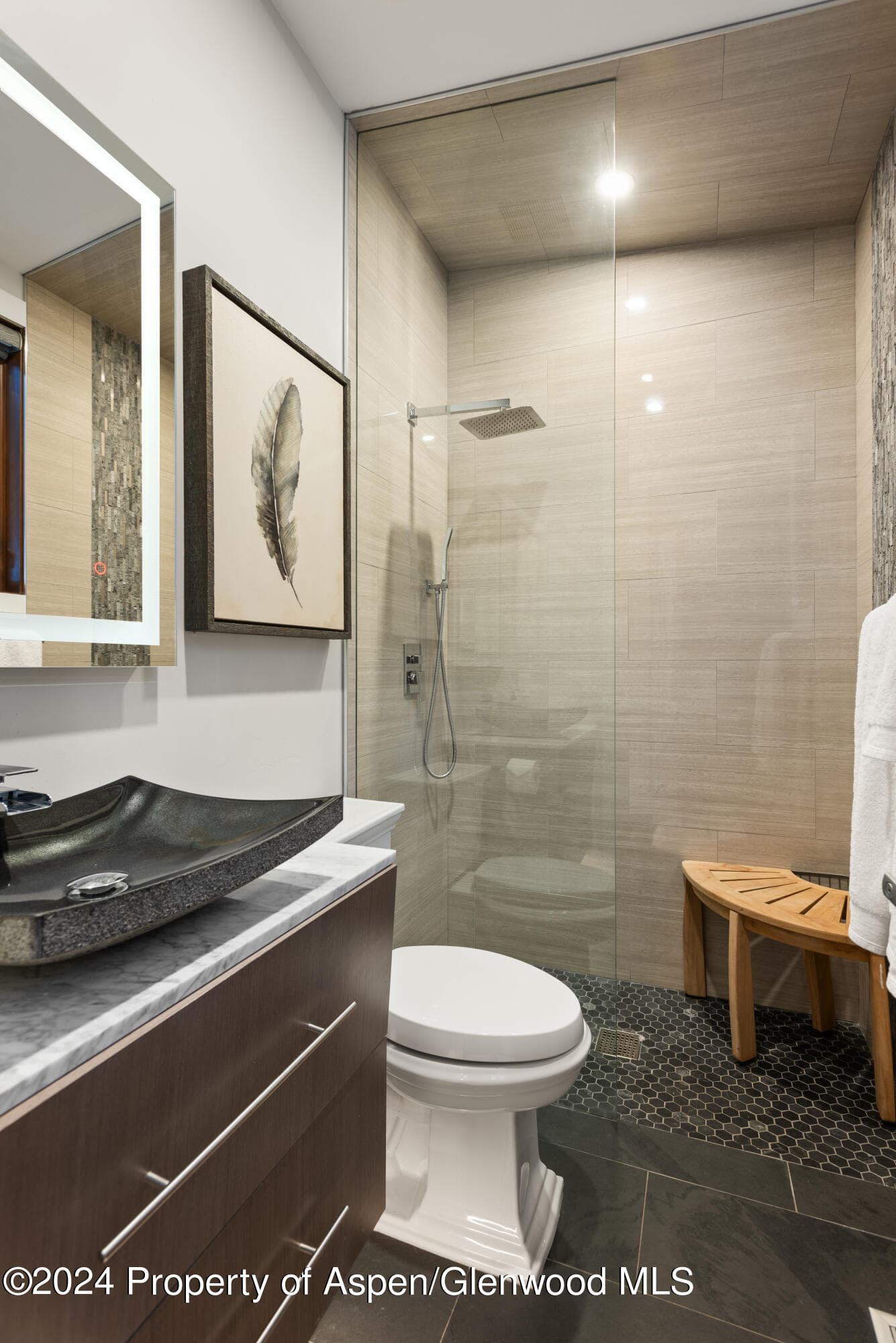 365 Terrace Drive, Snowmass Village, CO 81615 - Photo 27