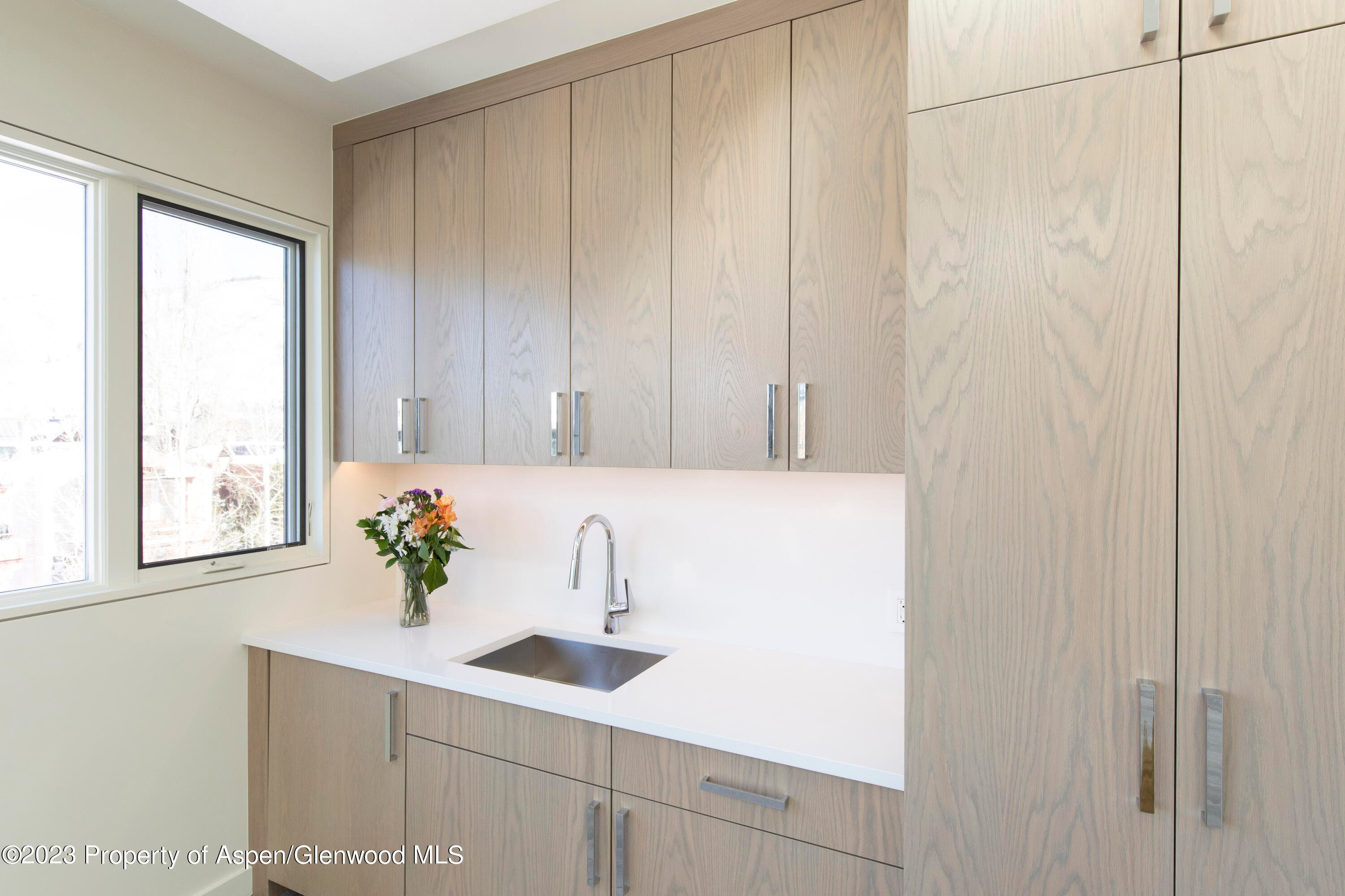 300 S Spring Street 301, Aspen, CO 81611 - Photo 11