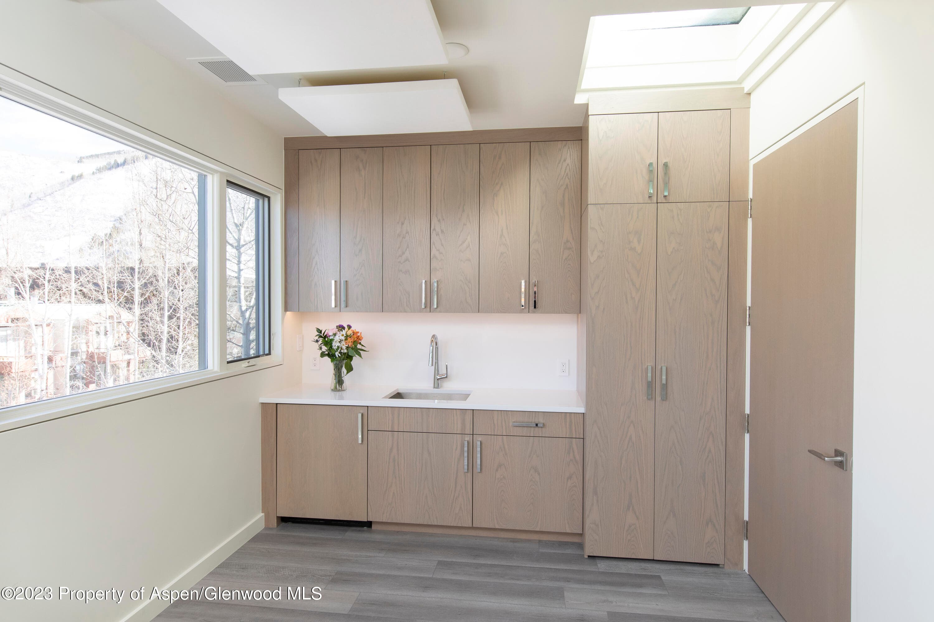 300 S Spring Street 301, Aspen, CO 81611 - Photo 12